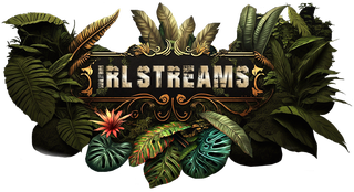 Stream panel