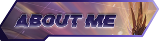 Stream panel